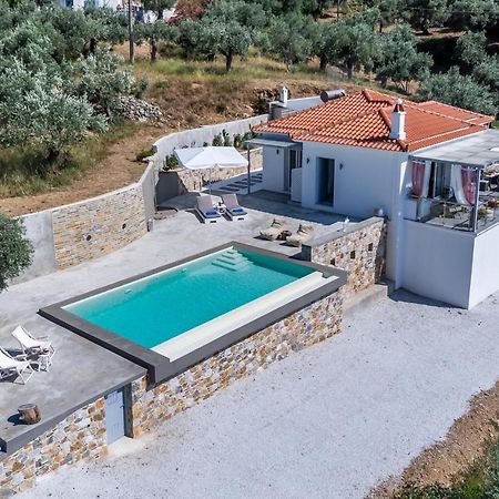 Ninemia Villa In Skopelos 外观 照片